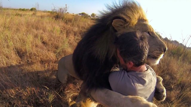 Animal Planet - Wild Animals for Pets