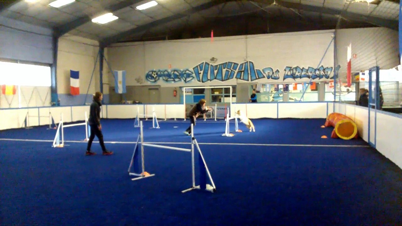agility