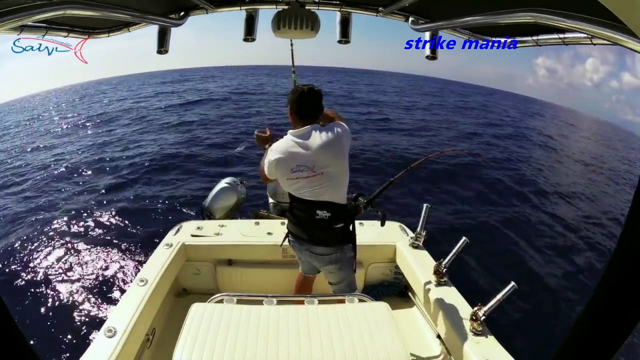 lihat pertarungan orang ini dengan ikan tuna seberat 200 kg lebih