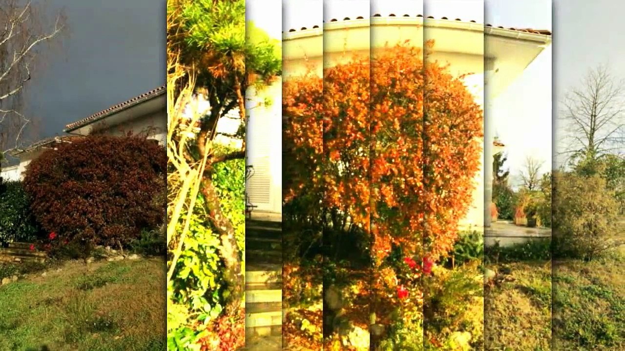 A vendre - Maison - SAUJON (17600) - 160m²