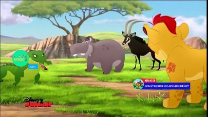 La guardia del león | La cumbre de la sabana | Español Latinoamericano | Vistazo