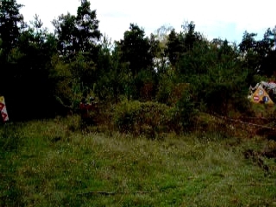 Paintball à la clairière