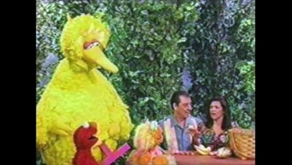 Black Bear Goes To The Movies