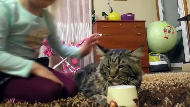 Игра доктор! Зубной врач рвет зубы и сверлит плом�