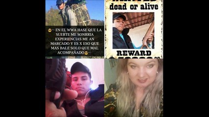 Sinaloa Cartel In Twin Falls Idaho