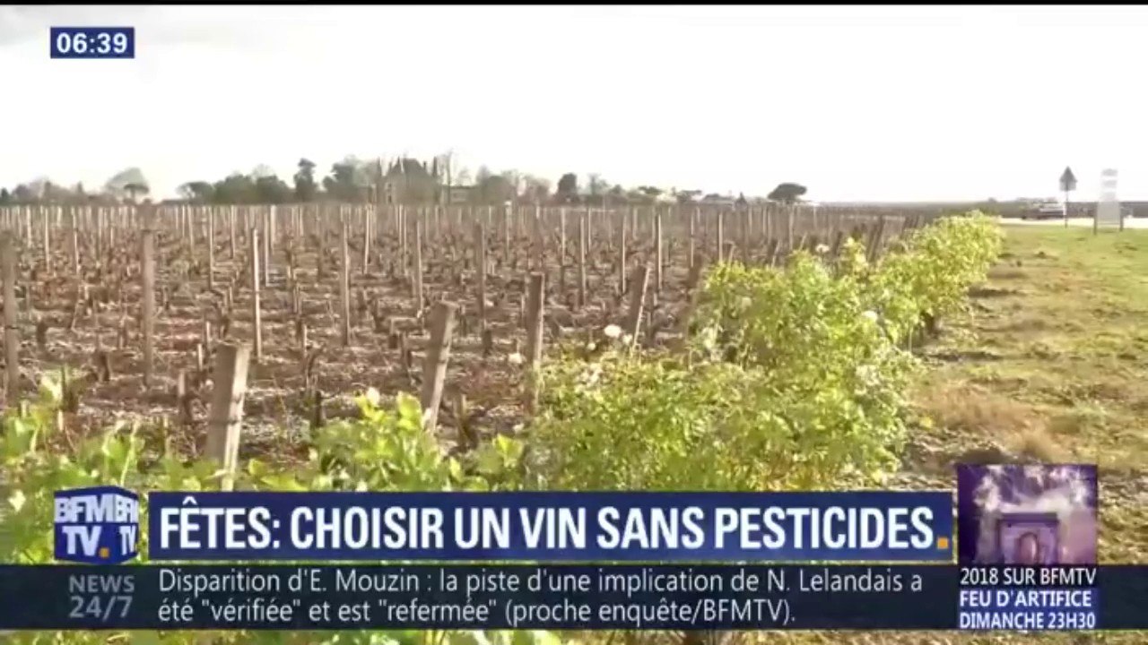 Fêtes: comment choisir un vin sans pesticides
