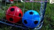 Learn Colors with Balls for Children, Toddlers and Babies _ Colours with Soccer