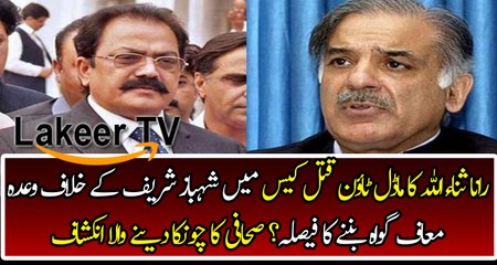 A Journalist Reveals Rana Sanaullah Statement For Model Town Case