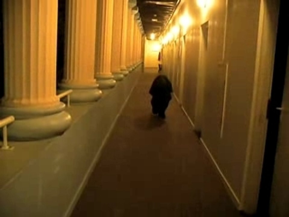 un inconnu au LISA