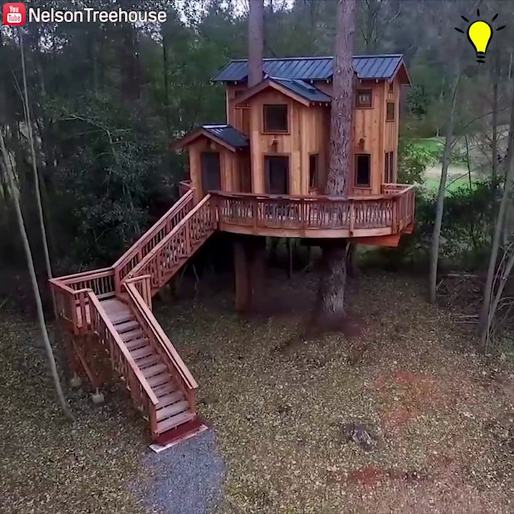 Assistez à la construction de cette magnifique cabane en bois dans les arbres