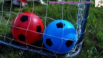 Learn Colors with Balls for Children, Toddlers and Babies _ Colours with Soccer Balls-