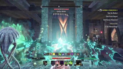 DonAleszandro The Elder Scrolls «-Spindeltiefen 2 mit Don Animal Guard-» (576)