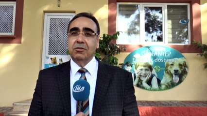 Bir yılda bin 250 sokak köpeği sahiplendirildi