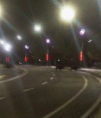 Üniversite Kampüsünü Domuzlar Bastı