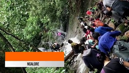 Kodachadri Trek - Nature Walkers