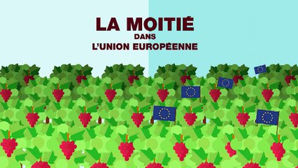 La viticulture à travers le monde