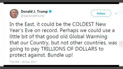 Trump ironiza sobre el calentamiento global, que "serviría para combatir la ola de frío"