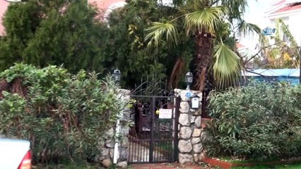 Köpeklerin saldırısına uğrayan kedisini kurtarmaya çalışan adam kamerada