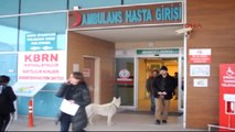 Bursa Sadık Köpek Acil Servisin Önünde Saatlerce Sahibini Bekledi