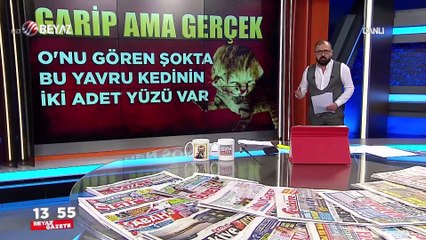 İki yüzlü kedicik doğdu