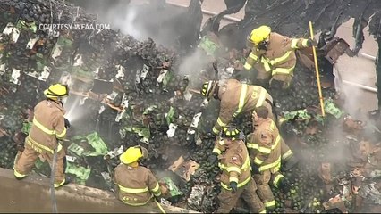 Smashed! 40,000 pounds of avocados spill onto Texas highway
