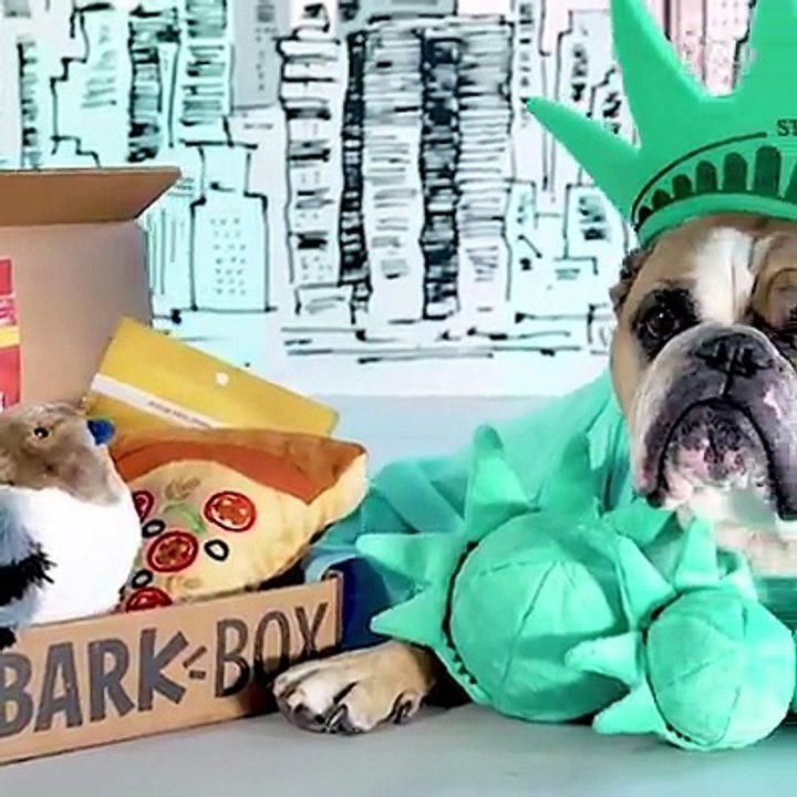 life couldnt goes better for these dogs