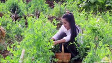 [Điền Tây Tiểu Ca] Cơm Đậu Hà Lan Thịt Chân G