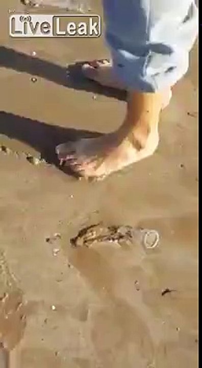 Des dizaines de capotes usagées sur une plage au maroc !!