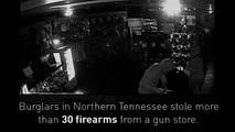 Thieves make smash and grab on gun store