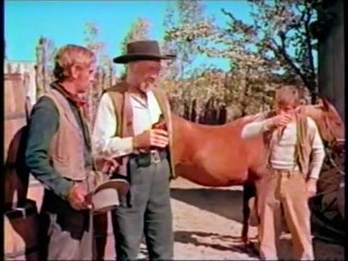 The Proud Rebel Online Alan Ladd Western FULL MOVIE part 1/3