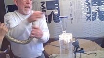 Il se fait mordre par un serpent à sonnette en essayant de lui prelever du venin