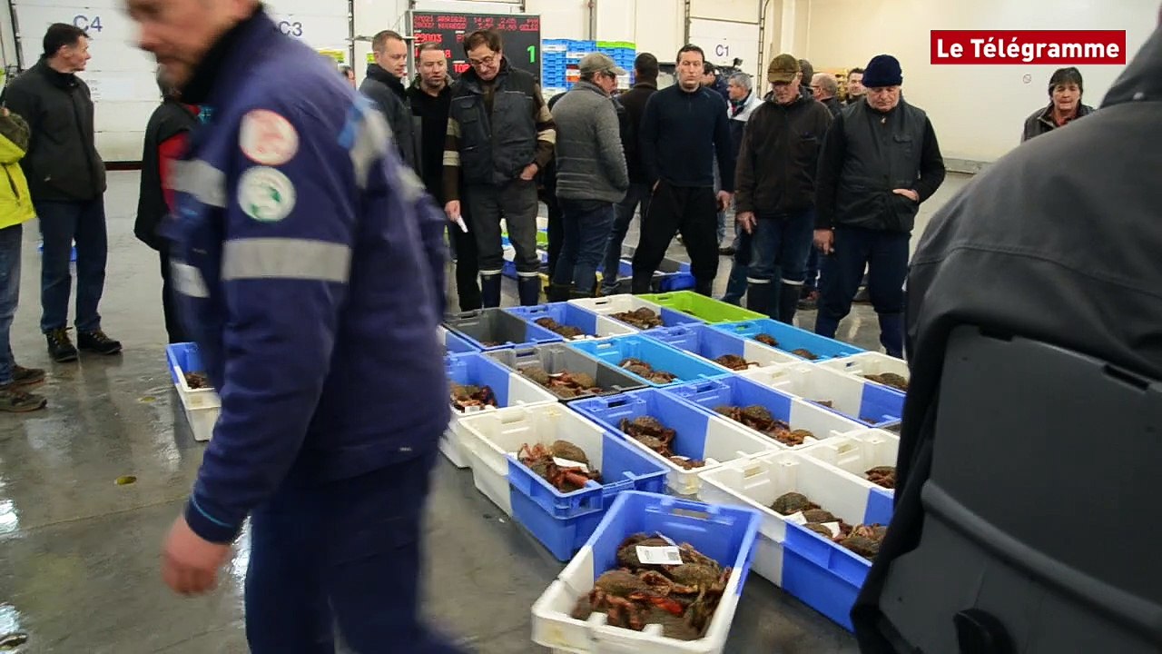 Criée de Concarneau. Forte demande face à une offre très faible