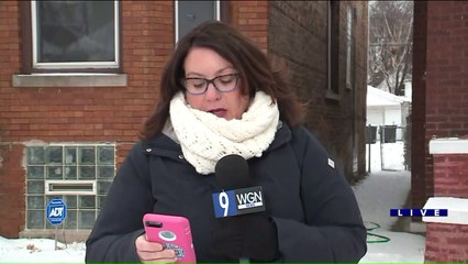 Pregnant 17-Year-Old Girl Shot in Chicago: Police