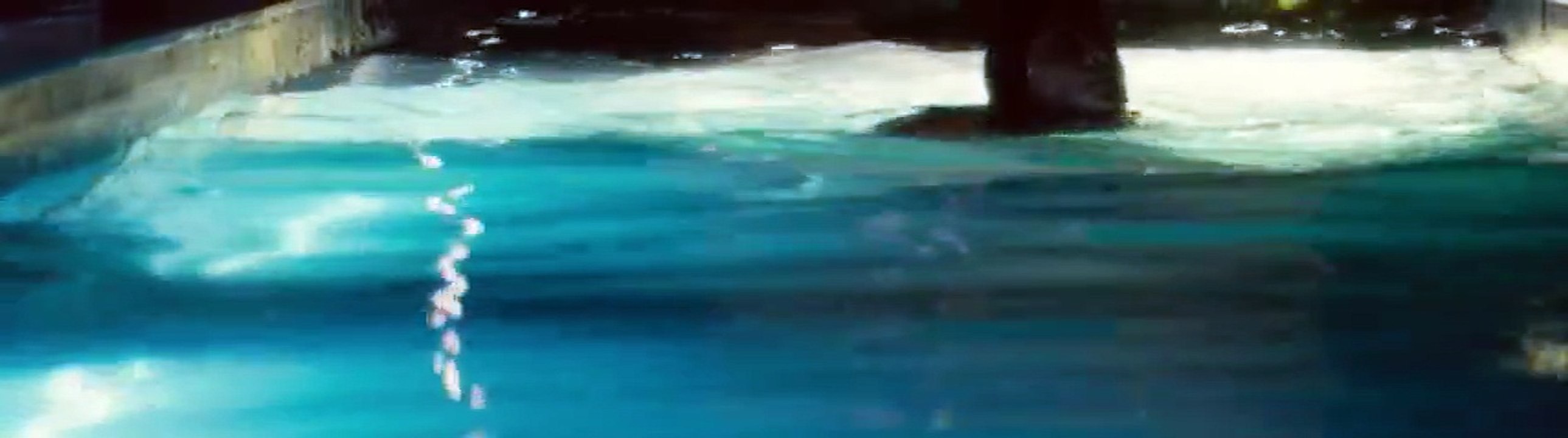 Trance   P 02