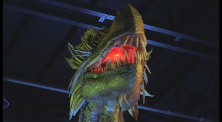 La muestra "Dragonland" abre sus puertas en Buenos Aires