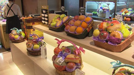 10만 원 가격 맞춘 농축수산 설 선물 봇물 / YTN