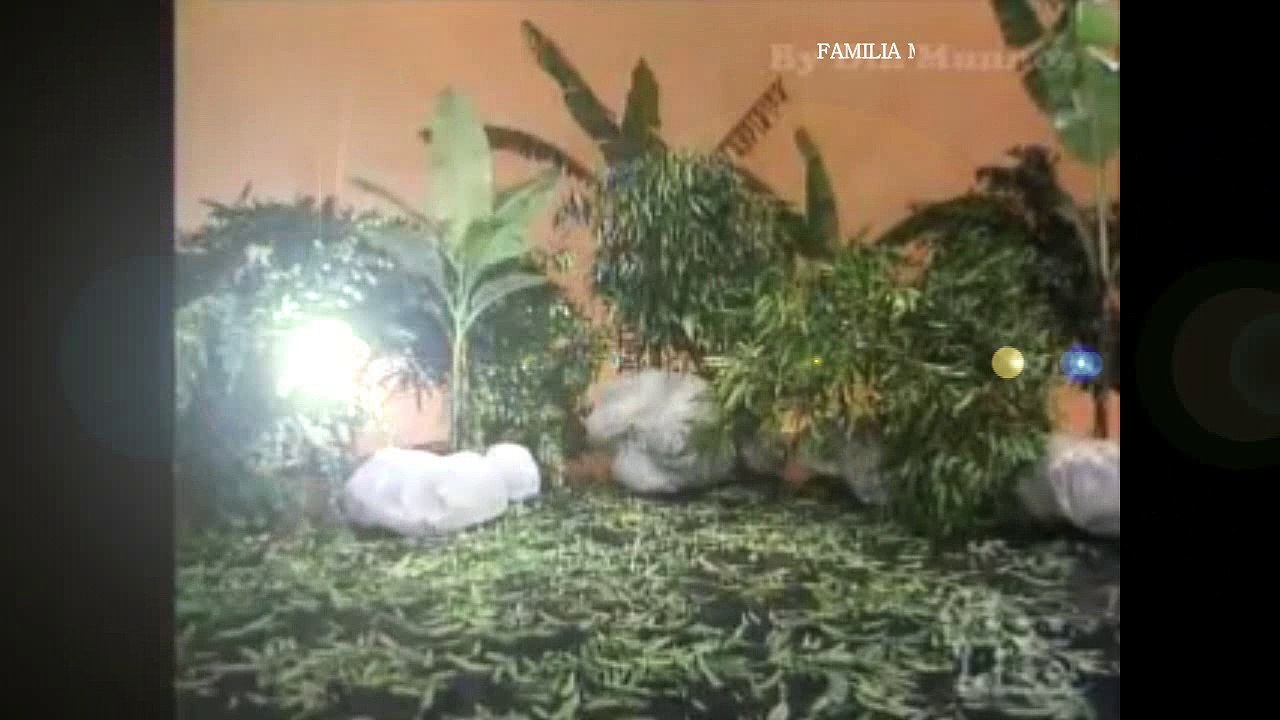 Zacarias em Caça aos PAtos  (os Trapalhões)