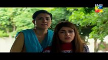 Daldal Episode 13 HUM TV Drama - 9 November 2017