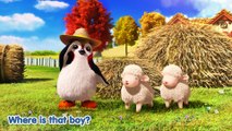Little Boy Blue - Songs For Children - Songs For Kids - Nursery Rhymes Compilation - Cartoon Animation Songs for Kids