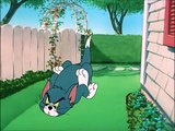 Tom And Jerry English Episodes -  Slicked-up Pup  - Cartoons