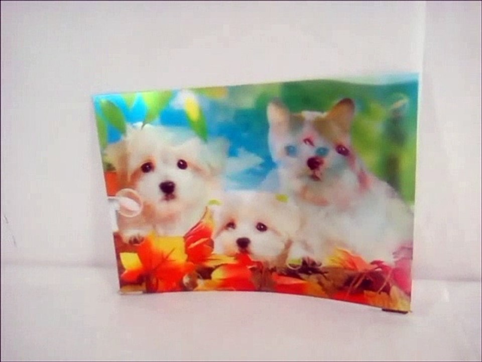 puppies in 3d
