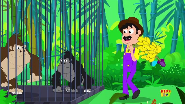 Old MacDonald Had A Zoo Nursery Rhymes Songs For Kids Zoo Song Kids Tv Nursery Rhymes