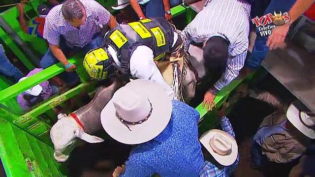 Monta 3 El Vaso Leche - Viernes 29 Diciembre 2017