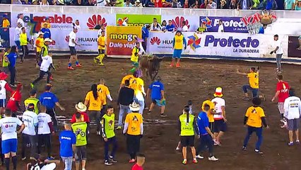 Los Levantines Viernes 29 Diciembre 2017