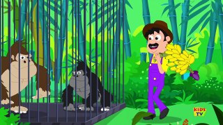 Old MacDonald Had A Zoo Nursery Rhymes Songs For Kids Zoo Song  Kids Tv