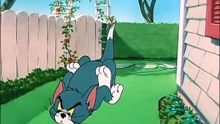 Tom And Jerry English Episodes -  Slicked-up Pup  - Cartoons For