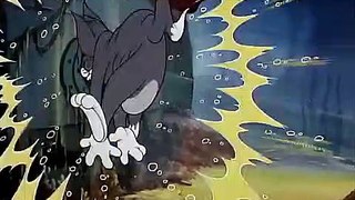 Tom And Jerry English Episodes - The Cat an