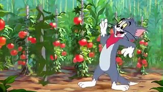 Tom And Jerry English Episodes - Summer Squashing  - Cartoons