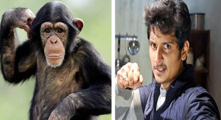 சிம்பன்சி குரங்குடன் நடிக்கும் ஜீவா... ஜீவா, ஷாலினி பாண்டே நடிக்கும் 'கொரில்லா'!