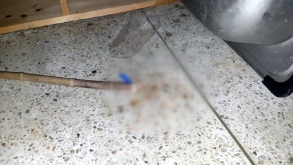 고준희 양 친부 "고 양 숨진 장소는 자신의 아파트" / YTN